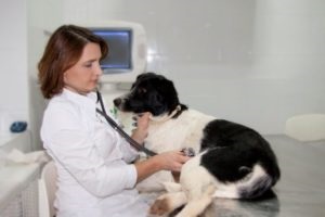 infecție Metodele răpciugă (bolile menționate anterior) infecție Metode răpciugă