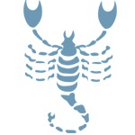 Style scorpion (Gemeni Fecioara Balanta Scorpion) stilul scorpion