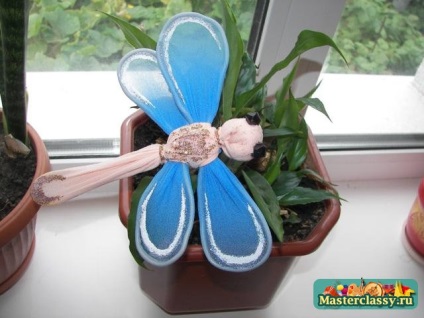 Dragonfly de chilot nylon luminos (dragonfly) Dragonfly de chilot nylon luminos