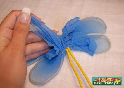 Dragonfly de chilot nylon luminos (foarfece) Dragonfly de chilot nylon luminos