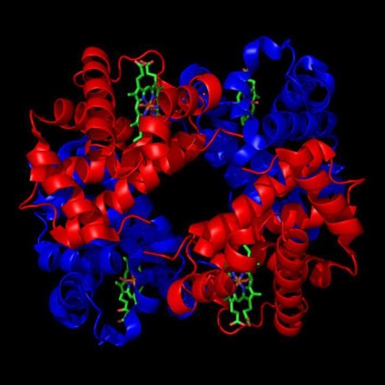Structura de aminoacizi (structură) Structura aminoacizilor