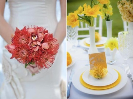 Buchete de nunta pentru mireasa - 150 fotografii de noi produse și idei 2016-2017 (nunta) Buchete de nunta pentru mireasa - 150 fotografii de noi produse și idei 2016-2017