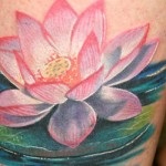 Lotus tatuaj 8 valori, 56 de fotografii și cele mai bune schițe (tatuaj) Lotus tatuaj 8 valori, 56 de fotografii și schițe de cele mai bune