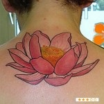 Lotus tatuaj 8 valori, 56 de fotografii și cele mai bune schițe (schițe) Lotus tatuaj 8 valori, 56 de fotografii și schițe de cele mai bune