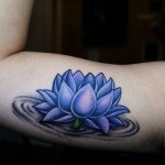 Lotus tatuaj 8 valori, 56 de fotografii și cele mai bune schițe (schițe) Lotus tatuaj 8 valori, 56 de fotografii și schițe de cele mai bune