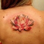 Lotus tatuaj 8 valori, 56 de fotografii și cele mai bune schițe (schițe) Lotus tatuaj 8 valori, 56 de fotografii și schițe de cele mai bune