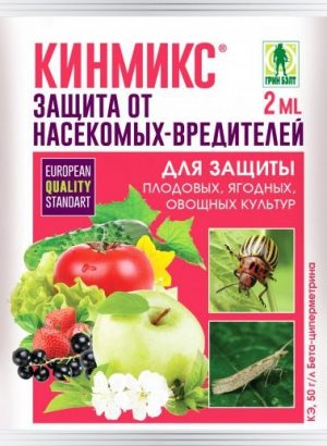 Afidele pe coacaze cum să lupte decât la un proces (vreme calma acest lucru) Afidele cu privire la modul de a lupta coacaze decât pentru a trata
