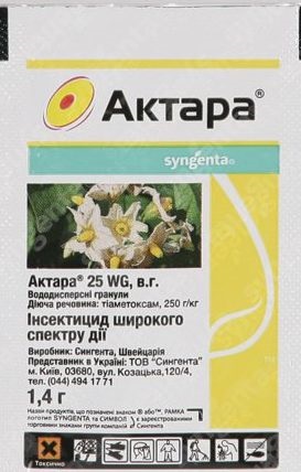 Afidele cu privire la modul de a lupta coacaze decât pentru a trata (mâner) Afidele cu privire la modul de a lupta coacaze decât pentru a trata
