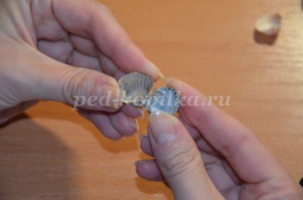 Topiara de scoici cu mâinile lor (lor) Topiara de cochilii cu propriile lor mâini