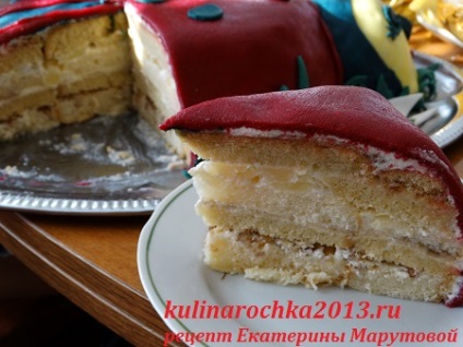 copii tort (tort buburuza) Torturi pentru copii