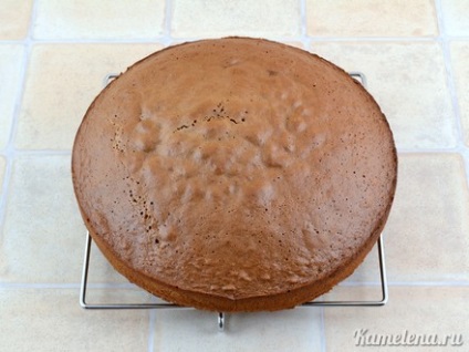 Tort Tort „Pancho“