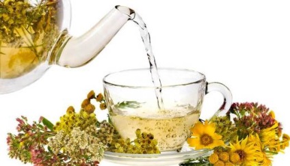 Plante medicinale pentru tratamentul de vezica urinara (vezica urinara) Plante medicinale pentru tratamentul vezicii urinare