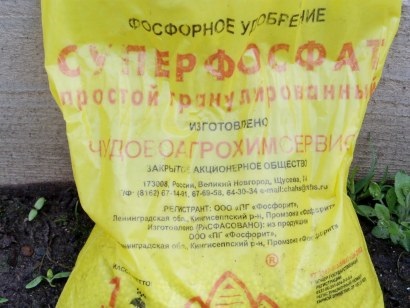 Îngrășăminte pentru plantare și cartofi în creștere (cartof) Fertilizator pentru plantare și cartofi în creștere