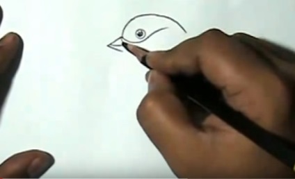Lectii de desen () desen lecții