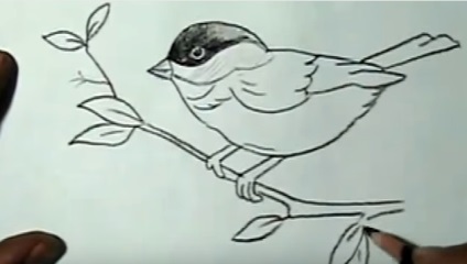 Lectii de desen () desen lecții