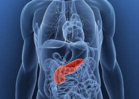 pancreas Uzi pregătirea corespunzătoare, indicații, tehnică, costul (de indicare) pancreas Uzi pregătire corespunzătoare, indicații, metode, costuri