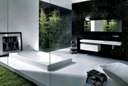 Baie în stilul de hi-tech în casa ta (camere high-tech) Baie în stilul de hi-tech în casa ta