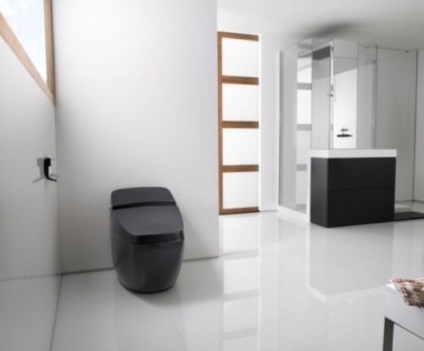 Baie în stilul de hi-tech acasă (baie de stil hi hi tech tech) dvs. Baie în stilul de hi-tech în casa ta