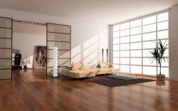 Vaze din fotografie interior (vaze pentru interior) Vaze din fotografie interior