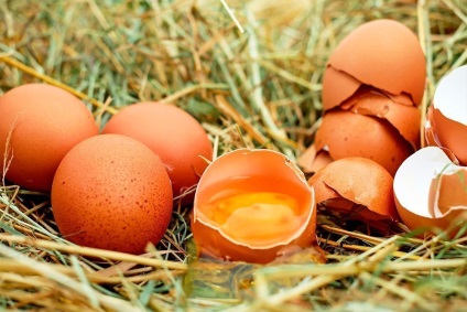 O dieta vegetariana ca un substitut de ouă (medicament) O dieta vegetariana ca un substitut de ouă