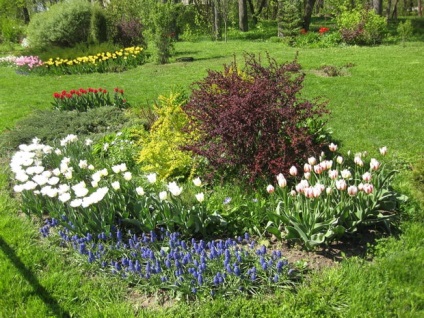 Spring Shamordino mănăstire fotografie Shamordino templu, o călătorie în lumea naturii (mănăstire) Spring Shamordino mănăstire fotografie Shamordino templu, o călătorie în lumea naturii
