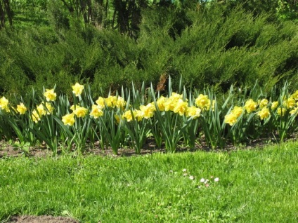 Spring Shamordino mănăstire fotografie Shamordino templu, o călătorie în lumea naturii (mănăstire) Spring Shamordino mănăstire fotografie Shamordino templu, o călătorie în lumea naturii