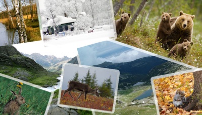 Anotimpuri, vreme și climă Europa (ani) Anotimpuri, vremea si clima Europa