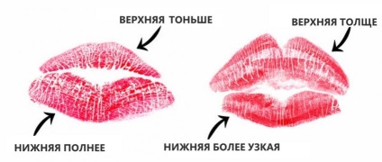 Natura buzelor umane și forma (form) Natura buzelor omului și forma lor