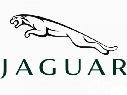 Jaguar - tara de origine (Jaguar) (Jaguar) Jaguar - tara de origine (jaguar)
