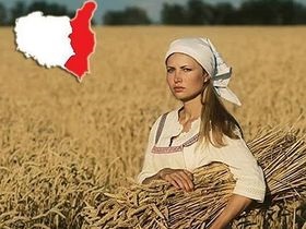 De ce Democrație (Democrație) De ce Democrație