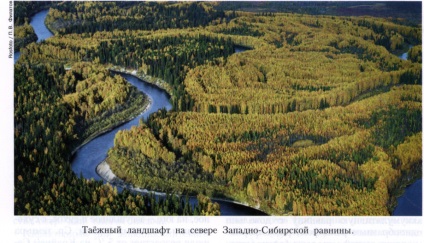 West-Siberian simplu (orizont de humus a doua) Câmpia Siberiei de Vest