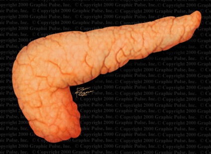 Pancreas sănătos, de sănătate și de recuperare a ei ca mai sănătos (fier) Pancreas sănătos, de sănătate și de fitness ei ca mai sănătos