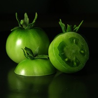 tomate verzi din varicele (verde) gogonele de varice