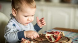 Gălbenuș pentru sugari, atunci când este posibil să se dea o intrare nada (enter) Gălbenuș pentru sugari, atunci când este posibil, pentru a da de intrare la nada