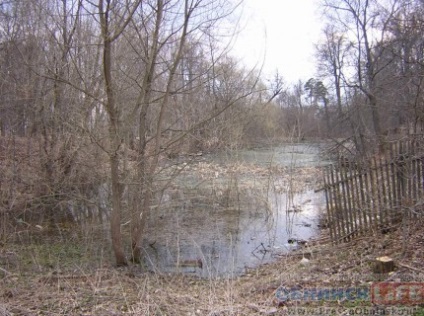 Perla din regiunea Kaluga (cascada superba din patru) margine Pearl Kaluga