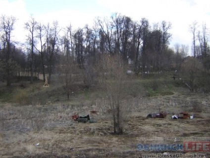margine Pearl Kaluga (Kaluga) margine Pearl Kaluga