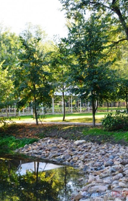 margine Pearl Kaluga (perla) margine Pearl Kaluga