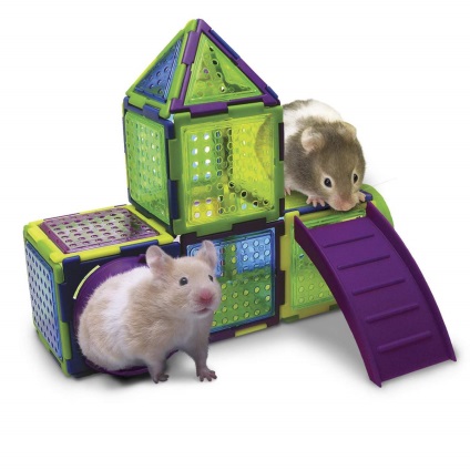 pentru acasă hamster ceea ce ar trebui să fie (hamster) pentru hamster acasă ceea ce ar trebui să fie