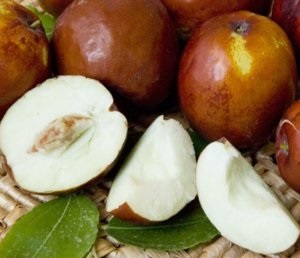 Jujube, jujube sau cultivarea jujube chineză de plante exotice în zona noastră (chinezesc) Jujube, jujube sau cultivarea jujube chineză de plante exotice în zona noastră