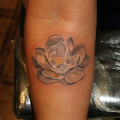 Înțeles lotus tatuaj care înseamnă un tatuaj imagini de lotus și exemple (Lotus tatuaj) Înțeles lotus tatuaj, ceea ce înseamnă lotus tatuaj, imagini și exemple