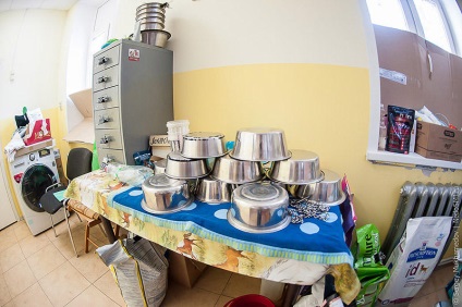 Câini de Aur - știri în imagini (câine) Câini de Aur - știri în imagini