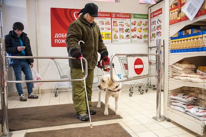 Câini de Aur - știri în imagini (centru de formare de câine de formare și „ajutoare câini) Câini de Aur - știri în imagini