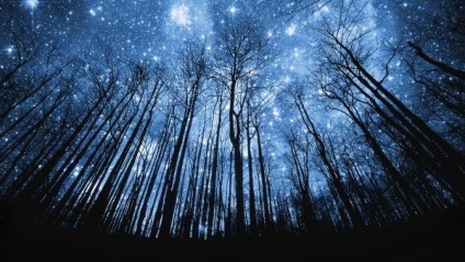 Shooting Stars în 2017 (2017) Shooting Stars în 2017