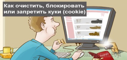 Ce este fișierele cookie-uri, și cum pentru a șterge cookie-urile în browserele moderne