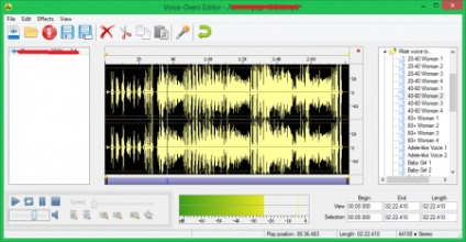 Cum se schimba TeamSpeak 3 voce (voce) Cum se schimba TeamSpeak vocal 3