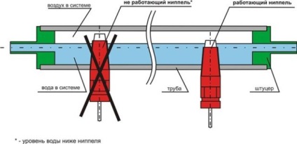 Cum băutori obișnuiți și niplu pentru puii de carne