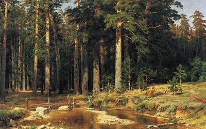 Cartea este despre natura acelui copil alege să citească (cartea) Cartea este despre natura care aleg să citească un copil