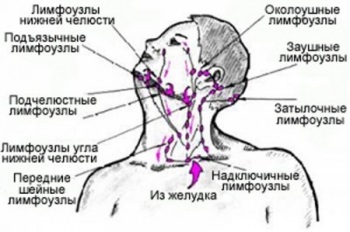 лимфни възли на шията