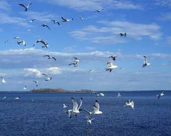 Un eseu pe tema „mare“