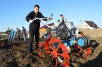 Mai bine pentru a săpa grădina - o lopată, plug sau cultivator, societate, Irkutsk AMF